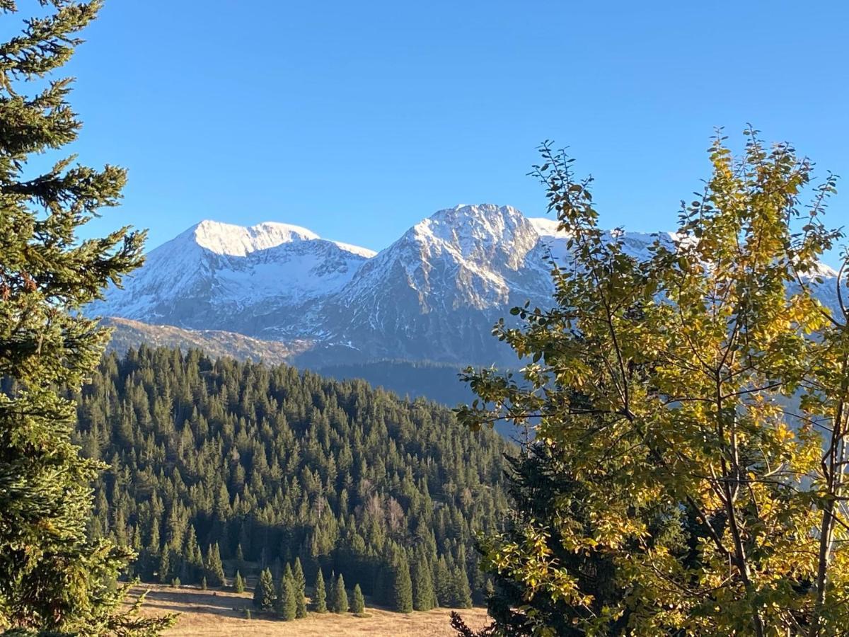 Au Bachat-Bouloud, Appartement 3 Pieces 6 Personnes Avec Balcon Plein Sud Chamrousse Eksteriør billede
